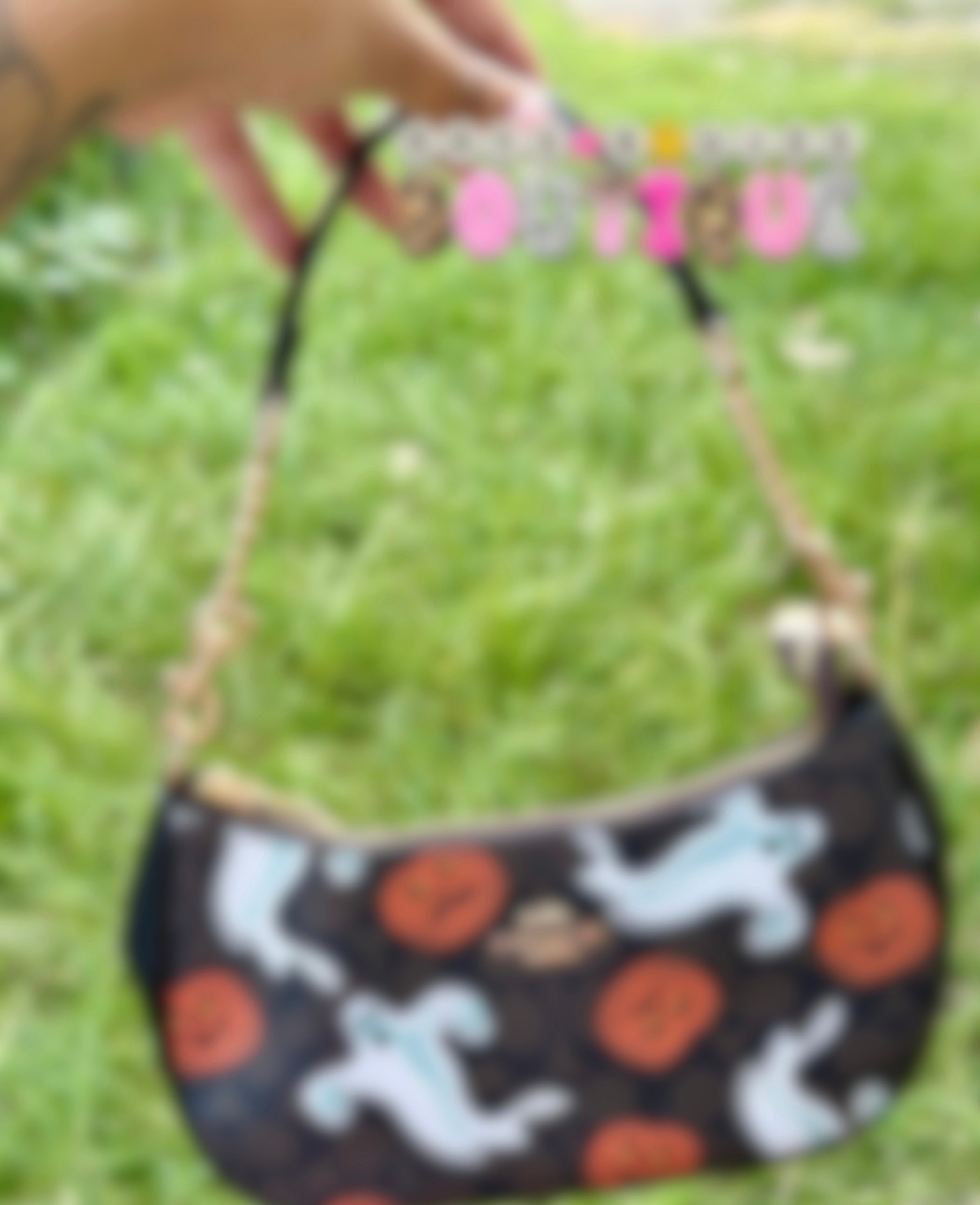 Halloween Bag
